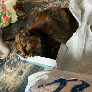 Meet your Posher, Tytiana